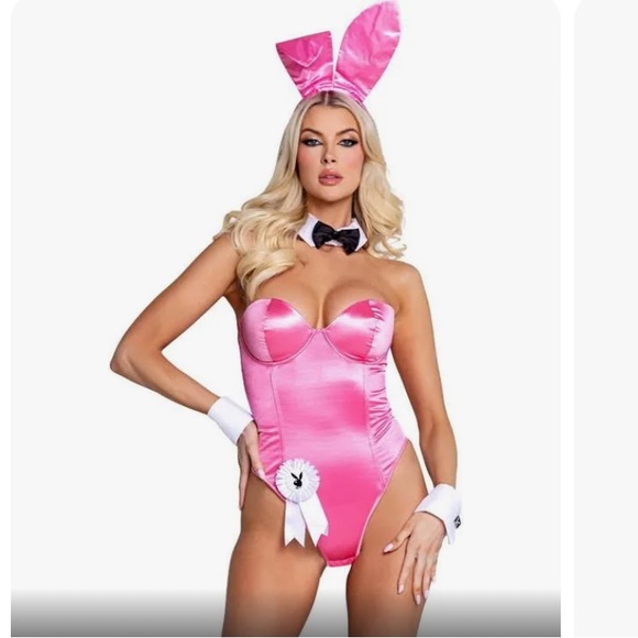 Perfect for Halloween Original Classic Corset Playboy bunny Costume -ship ASAP - Picture 1 of 2
